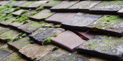 Chitcombe roof repair costs
